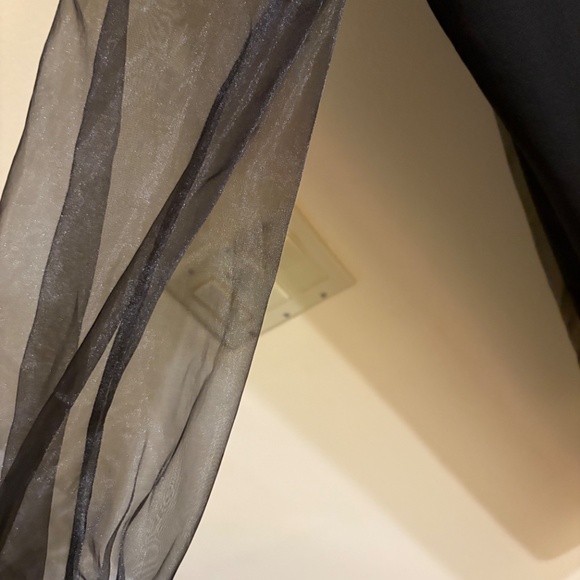 ZARA dress with sheer sleeves NWT. Size S - Picture 3 of 3